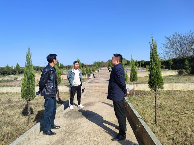 大武口区整治殡葬领域不正之风，含大武口二号公墓相关问题
