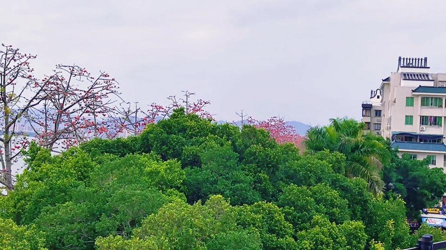 美丽的滨江长廊_潮州四季风景_潮州滨江长廊春景
