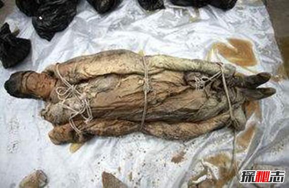 关羽之死真相_河南关羽墓发现_关羽陵墓